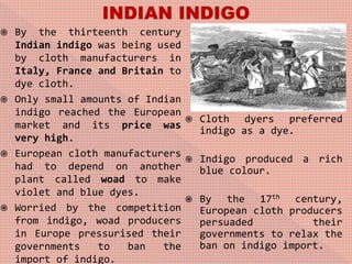  By the thirteenth century
Indian indigo was being used
by cloth manufacturers in
Italy, France and Britain to
dye cloth.
 Only small amounts of Indian
indigo reached the European
market and its price was
very high.
 European cloth manufacturers
had to depend on another
plant called woad to make
violet and blue dyes.
 Worried by the competition
from indigo, woad producers
in Europe pressurised their
governments to ban the
import of indigo.
 Cloth dyers preferred
indigo as a dye.
 Indigo produced a rich
blue colour.
 By the 17th century,
European cloth producers
persuaded their
governments to relax the
ban on indigo import.
 