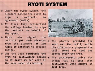 RYOTI SYSTEM
 Under the ryoti system, the
planters forced the ryots to
sign a contract, an
agreement (satta).
 At times they pressurised
the village headmen to sign
the contract on behalf of
the ryots.
 Those who signed the
contract got cash advances
from the planters at low
rates of interest to produce
indigo.
 But the loan committed the
ryot to cultivating indigo
on at least 25 per cent of
the area under his holding.
 The planter provided the
seed and the drill, while
the cultivators prepared the
soil, sowed the seed and
looked after the crop.
 The procurement price for
indigo was so less that
cultivators were always in
debt trap.
 
