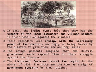  In 1859, the indigo ryots felt that they had the
support of the local zamindars and village headmen
in their rebellion against the planters.
 These zamindars were unhappy with the increasing
power of the planters and angry at being forced by
the planters to give them land on long leases.
 The indigo peasants imagined that the British
government would support them in their struggle
against the planters.
 The Lieutenant Governor toured the region in the
winter of 1859. The ryots saw the tour as a sign of
government sympathy for their plight.
 