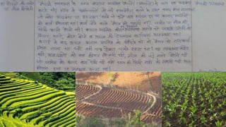 Ruling the countryside 8