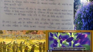 Ruling the countryside 8