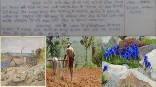 Ruling the countryside 8