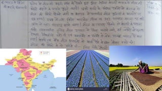 Ruling the countryside 8