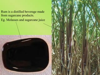 Rum is a distilled beverage made from sugarcane products.  Eg. Molasses and sugarcane juice 