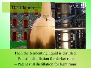 Then the fermenting liquid is distilled. - Pot still distillation for darker rums - Patent still distillation for light rums Distillation 