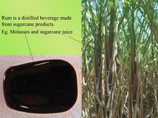 Rum is a distilled beverage made
from sugarcane products.
Eg. Molasses and sugarcane juice
 