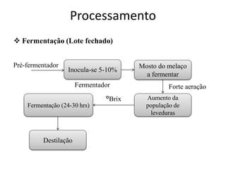 Processamento
 Fermentação (Lote fechado)
Inocula-se 5-10%
Fermentador
Pré-fermentador Mosto do melaço
a fermentar
Aumento da
população de
leveduras
Forte aeração
Fermentação (24-30 hrs)
°Brix
Destilação
 