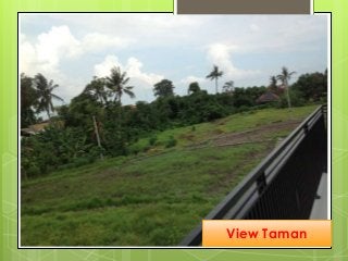 0852 1376 7799 Telkomsel Rumah Dijual Murah Dibali Dijual Rumah D