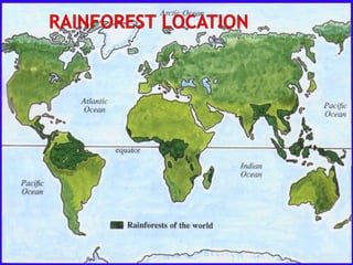 Map Of All Rainforests Tropical Rainforest