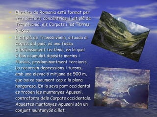 El relleu de Romania està format per tres sectors, concèntrics: l'altiplà de Transilvania, els Carpats i les Terres Baixes.   L'altiplà de Transsilvània, situada al centre del país, és una fossa d'enfonsament tectònic, en la qual s'han acumulat dipòsits marins i fluvials, predominantment terciaris. La recorren depressions i turons, amb una elevació mitjana de 500 m, que baixa suaument cap a la plana hongaresa. En la seva part occidental es troben les muntanyes Apuseni, contraforts dels Carpats occidentals. Aquestes muntanyes Apuseni són un conjunt muntanyós aïllat.   