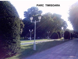 PARC  TIMISOARA 
