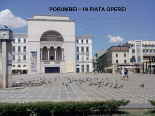 PORUMBEI – IN PIATA OPEREI 