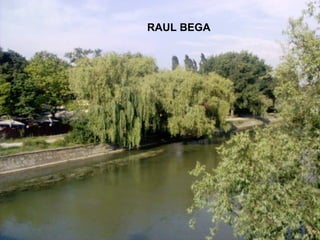RAUL BEGA 