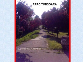 PARC TIMISOARA 