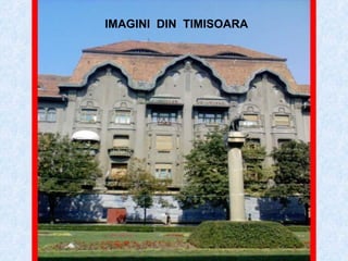 IMAGINI  DIN  TIMISOARA 