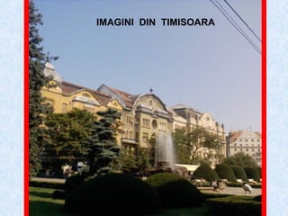 IMAGINI  DIN  TIMISOARA 