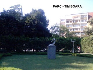 PARC - TIMISOARA 