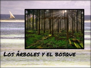 @ftsaez
Los árboles y el bosque
Competencias
básicas
 