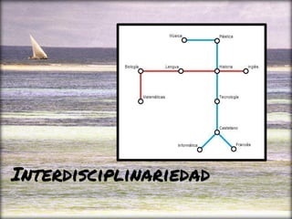 Interdisciplinariedad
 