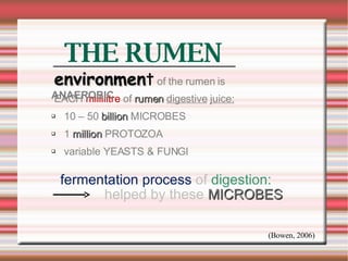 THE RUMEN EACH  millilitre  of  rumen   digestive   juice: 10 – 50  billion  MICROBES 1  million  PROTOZOA variable YEASTS & FUNGI environmen t  of the rumen is  ANAEROBIC fermentation process  of  digestion:   helped by these   MICROBES (Bowen, 2006) 
