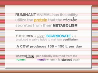 THE RUMEN  is   acidic :  ‘ BICARBONATE ’ -  is produced in saliva helps to maintain   equilibrium A COW produces 100 – 150 L per day chewed   feed  -  periodically returned from the rumen   mouth  where it is  chewed   again 