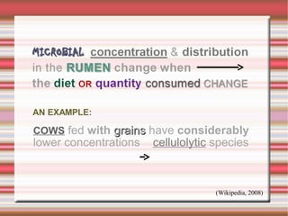AN EXAMPLE:  COWS   fed  with   grains  have  considerably   lower concentrations   cellulolytic   species (Wikipedia, 2008) 
