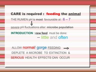 THE RUMEN pH is  most   favourable at :  6 – 7  severe  pH fluctuations alter:  microbe   population INTRODUCTION :  new   feed   must be done: –  little   and   often ALLOW   normal /  gorge   FEEDING   DEPLETE  A MICROBE  TO  EXTINCTION  &  SERIOUS   HEALTH  EFFECTS CAN  OCCUR  CARE is required :  feeding  the  animal 