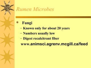  Fungi
– Known only for about 20 years
– Numbers usually low
– Digest recalcitrant fiber
www.animsci.agrenv.mcgill.ca/feed
Rumen Microbes
 