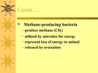  Methane-producing bacteria
– produce methane (CH4)
– utilized by microbes for energy
– represent loss of energy to animal
– released by eructation
Contd…..
 