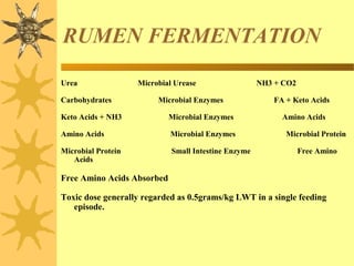 RUMEN FERMENTATION
Urea Microbial Urease NH3 + CO2
Carbohydrates Microbial Enzymes FA + Keto Acids
Keto Acids + NH3 Microbial Enzymes Amino Acids
Amino Acids Microbial Enzymes Microbial Protein
Microbial Protein Small Intestine Enzyme Free Amino
Acids
Free Amino Acids Absorbed
Toxic dose generally regarded as 0.5grams/kg LWT in a single feeding
episode.
 