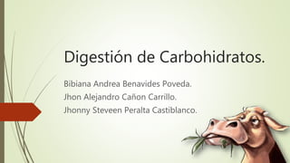 Digestión de Carbohidratos.
Bibiana Andrea Benavides Poveda.
Jhon Alejandro Cañon Carrillo.
Jhonny Steveen Peralta Castiblanco.
 