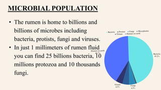 • The rumen is home to billions and
billions of microbes including
bacteria, protists, fungi and viruses.
• In just 1 millimeters of rumen fluid
you can find 25 billions bacteria, 10
millions protozoa and 10 thousands
fungi.
MICROBIAL POPULATION
 