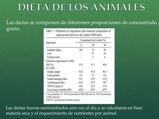 Las dietas se componen de diferentes proporciones de concentrado / 
grano . 
Las dietas fueron suministrados una vez al día y se cálcularon en base 
materia seca y el requerimiento de nutrientes por animal 
 