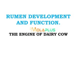 RUMEN DEVELOPMENT
AND FUNCTION.
THE ENGINE OF DAIRY COW
 
