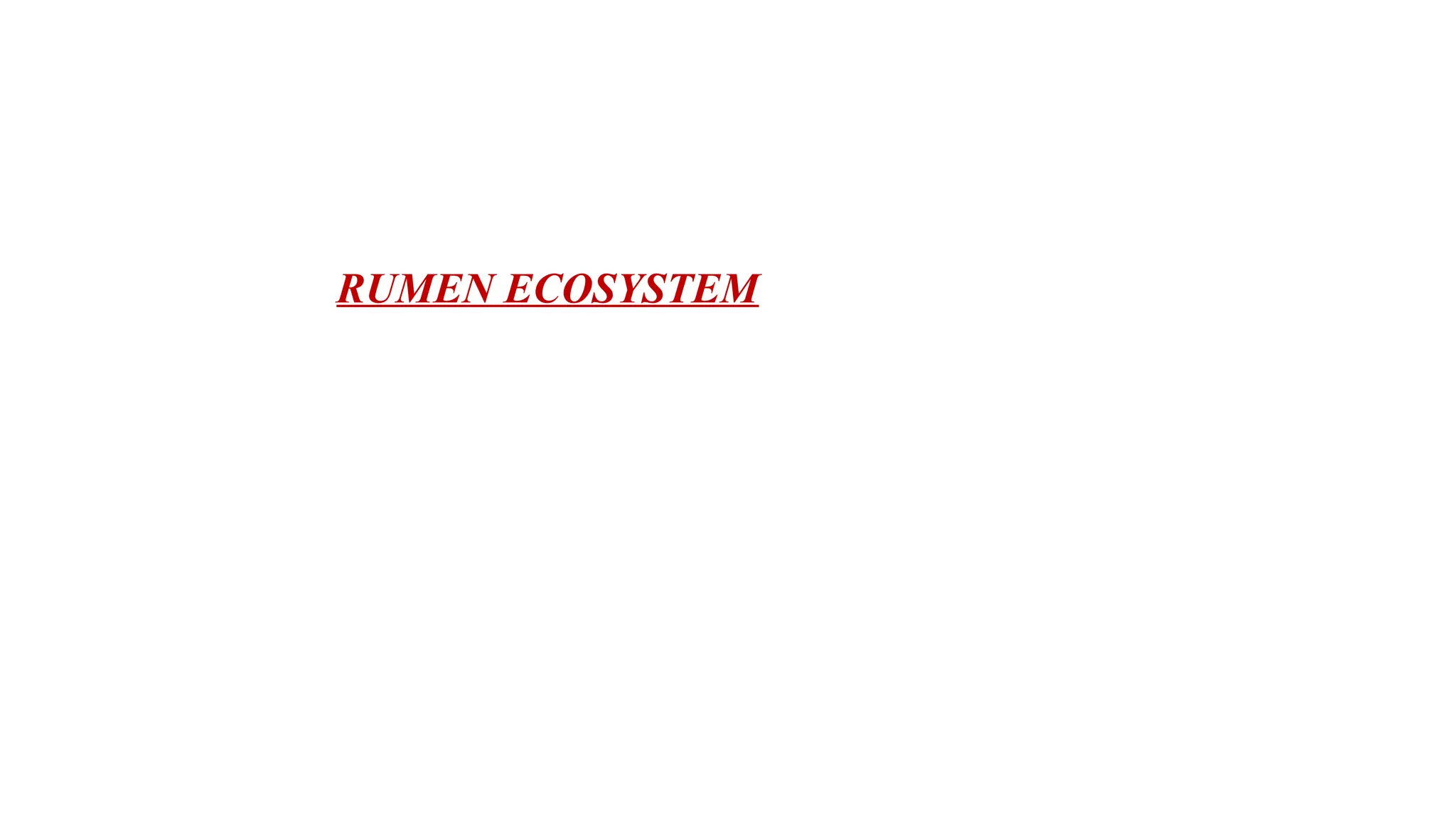 RUMEN ECOSYSTEM
 