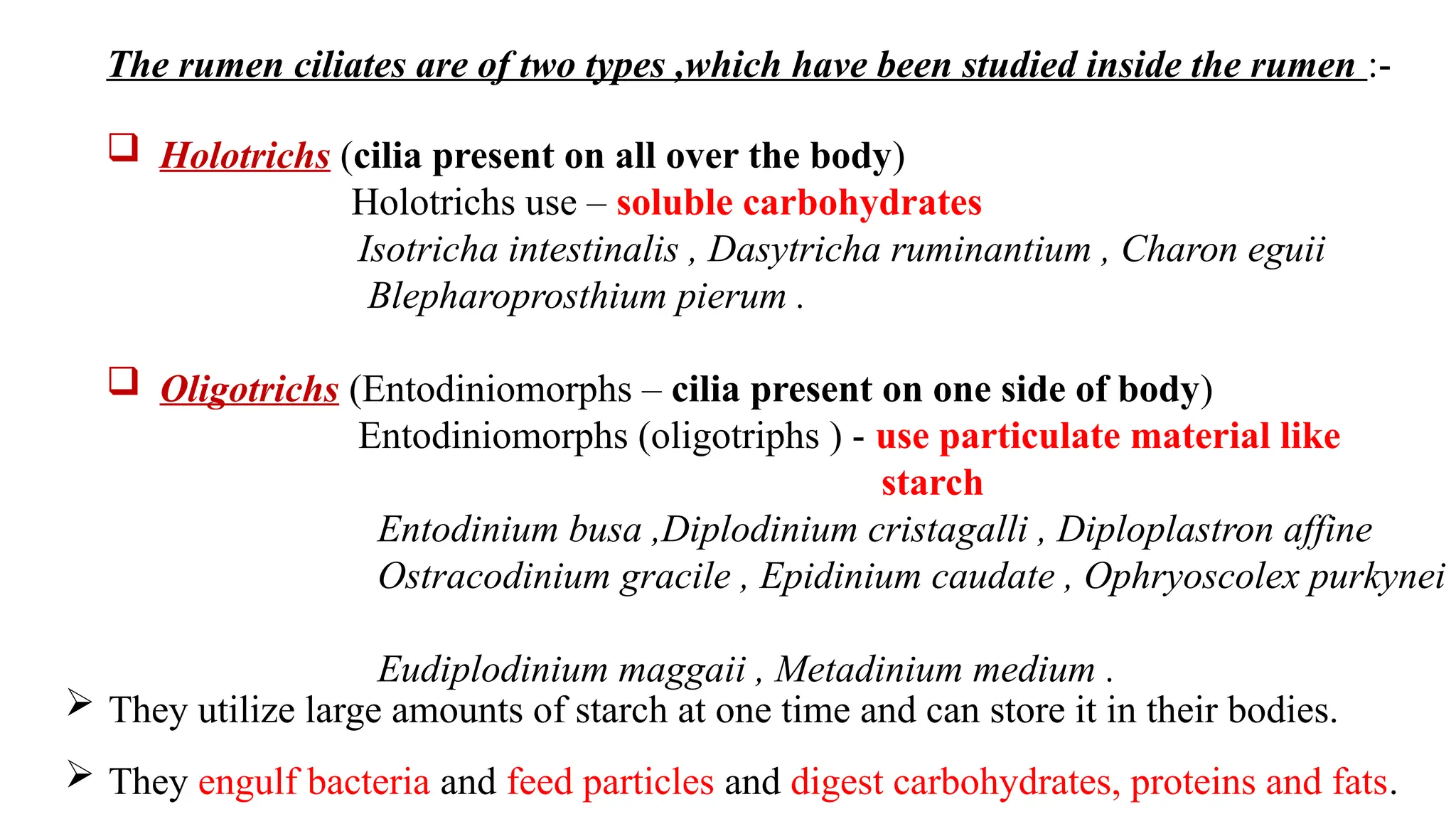 The rumen ciliates are of two types ,which have been studied inside the rumen :-
 Holotrichs (cilia present on all over the body)
Holotrichs use – soluble carbohydrates
Isotricha intestinalis , Dasytricha ruminantium , Charon eguii
Blepharoprosthium pierum .
 Oligotrichs (Entodiniomorphs – cilia present on one side of body)
Entodiniomorphs (oligotriphs ) - use particulate material like
starch
Entodinium busa ,Diplodinium cristagalli , Diploplastron affine
Ostracodinium gracile , Epidinium caudate , Ophryoscolex purkynei
Eudiplodinium maggaii , Metadinium medium .
 They engulf bacteria and feed particles and digest carbohydrates, proteins and fats.
 They utilize large amounts of starch at one time and can store it in their bodies.
 