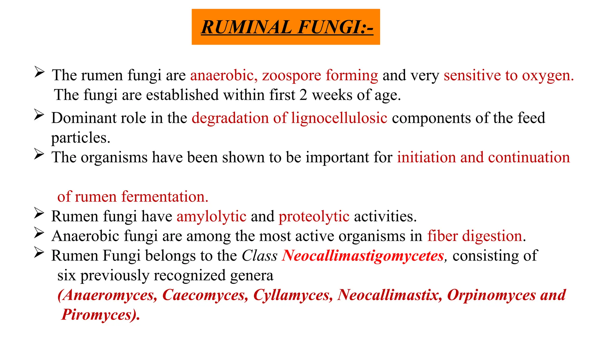  The rumen fungi are anaerobic, zoospore forming and very sensitive to oxygen.
The fungi are established within first 2 weeks of age.
 Dominant role in the degradation of lignocellulosic components of the feed
particles.
 The organisms have been shown to be important for initiation and continuation
of rumen fermentation.
 Rumen fungi have amylolytic and proteolytic activities.
 Anaerobic fungi are among the most active organisms in fiber digestion.
 Rumen Fungi belongs to the Class Neocallimastigomycetes, consisting of
six previously recognized genera
(Anaeromyces, Caecomyces, Cyllamyces, Neocallimastix, Orpinomyces and
Piromyces).
RUMINAL FUNGI:-
 