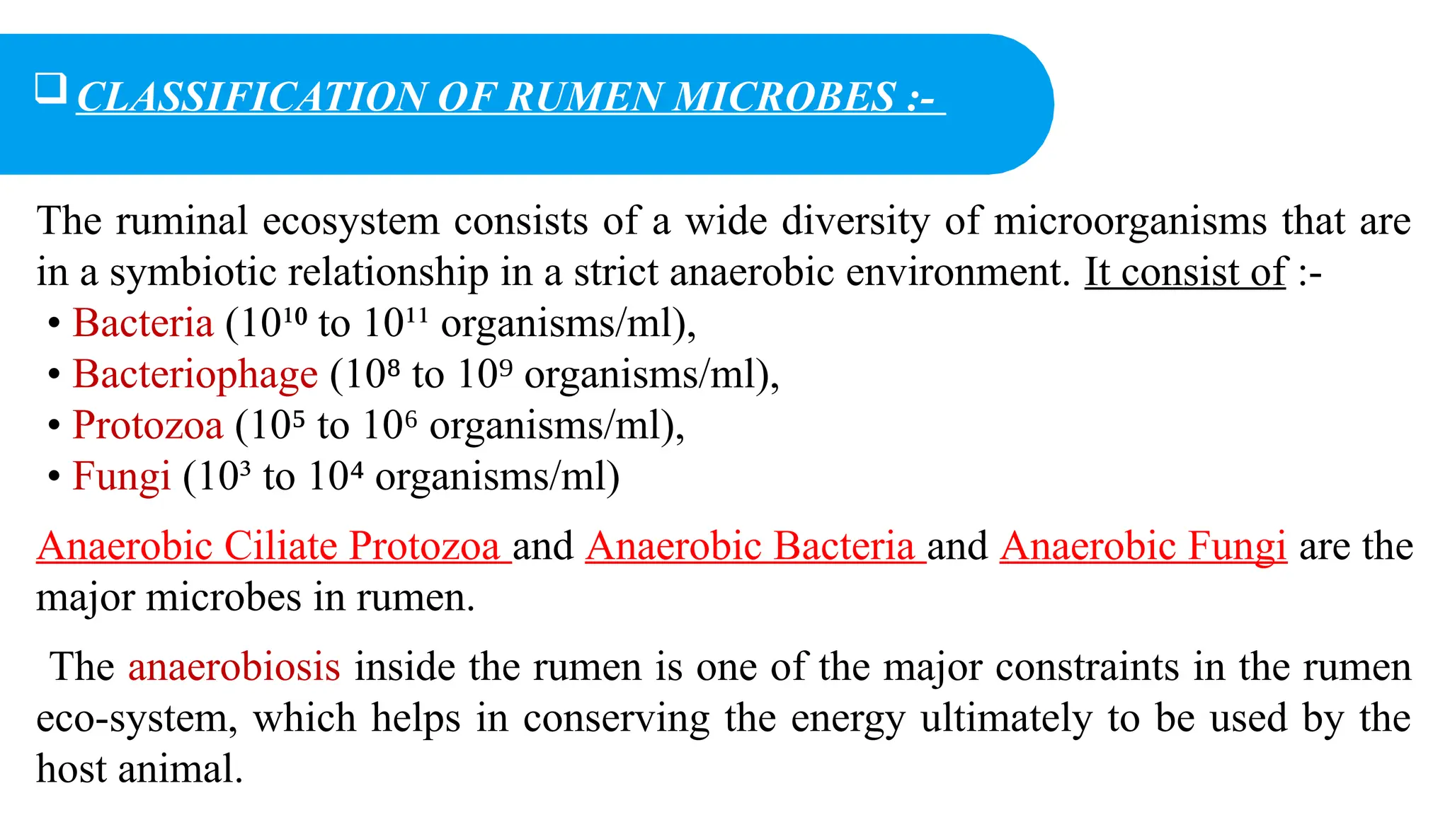 The ruminal ecosystem consists of a wide diversity of microorganisms that are
in a symbiotic relationship in a strict anaerobic environment. It consist of :-
• Bacteria (10¹ to 10¹¹ organisms/ml),
⁰
• Bacteriophage (10 to 10 organisms/ml),
⁸ ⁹
• Protozoa (10 to 10 organisms/ml),
⁵ ⁶
• Fungi (10³ to 10 organisms/ml)
⁴
Anaerobic Ciliate Protozoa and Anaerobic Bacteria and Anaerobic Fungi are the
major microbes in rumen.
The anaerobiosis inside the rumen is one of the major constraints in the rumen
eco-system, which helps in conserving the energy ultimately to be used by the
host animal.
CLASSIFICATION OF RUMEN MICROBES :-
 