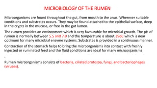 MICROBIOLOGY OF THE RUMEN
Microorganisms are found throughout the gut, from mouth to the anus. Wherever suitable
conditions and substrates occurs. They may be found attached to the epithelial surface, deep
in the crypts in the mucosa, or free in the gut lumen.
The rumen provides an environment which is very favourable for microbial growth. The pH of
rumen is normally between 5.5 and 7.0 and the temperature is about 39oC which is near
optimum for many microbial enzyme systems. Substrates is provided in a continuous manner.
Contraction of the stomach helps to bring the microorganisms into contact with freshly
ingested or ruminated feed and the fluid conditions are ideal for many microorganisms
.
Rumen microorganisms consists of bacteria, ciliated protozoa, fungi, and bacteriophages
(viruses).
 