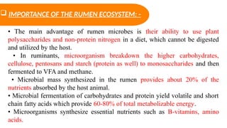 RUMEN ECOSYSTEM AND CLASSIFICATION OF RUMEN MICROBES.pptx