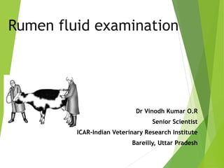 Rumen fluid examination
Dr Vinodh Kumar O.R
Senior Scientist
ICAR-Indian Veterinary Research Institute
Bareilly, Uttar Pradesh
 