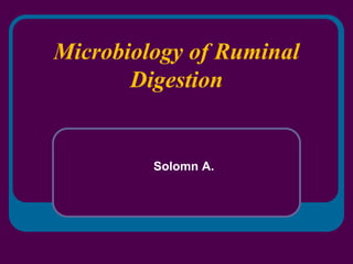 Microbiology of Ruminal
Digestion
Solomn A.
 