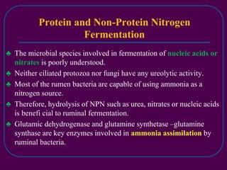 Nitrate Rumen Rumen microbiology | PPT