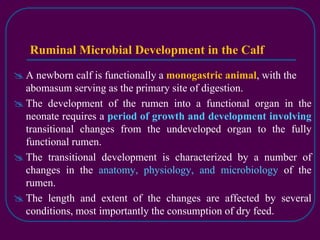 Rumen microbiology | PPT