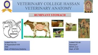 VETERINARY COLLEGE HASSAN
VETERINARY ANATOMY
SUBMITTED TO:
Dr Rajashailesh N M
HOD
Dept. of Veterinary Anatomy
SUBMITTED BY:
Swaroop R
MHVK 2112
Dept. of VSR
RUMINANT STOMACH
 