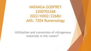 NATANGA GODFREY
2200702268
2022/HD02/2268U
ANS: 7204 Rumenology
“Utilization and conversion of nitrogenous
materials in the rumen”
 
