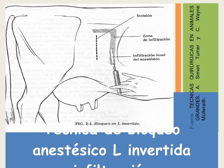 Rumenotomia