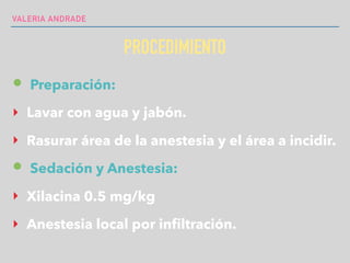 VALERIA ANDRADE
PROCEDIMIENTO
• Preparación:
‣ Lavar con agua y jabón.
‣ Rasurar área de la anestesia y el área a incidir.
• Sedación y Anestesia:
‣ Xilacina 0.5 mg/kg
‣ Anestesia local por infiltración.