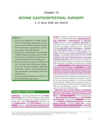 Proble Dvm Rumentomy.pdfffffffffffffffffffffffffffffffffffffffffff | PDF