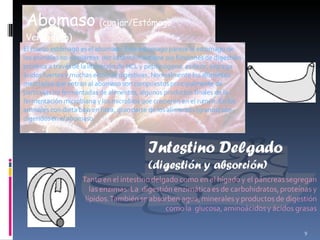 Abomaso   (cuajar/Estómago Verdadero) (Digestión Ácida) El cuarto estómago es el abomaso. Este estomago parece al estomago de los animales no-rumiantes  por lo tanto mantiene sus funciones de digestión proteica a través de la liberación de HCL y pepsinógeno, es decir, segrega ácidos fuertes y muchas enzimas digestivas. Normalmente los alimentos mezclados que entran al abomaso son compuestos principalmente de partículas no fermentadas de alimentos, algunos productos finales de la fermentación microbiana y los microbios que crecieron en el rumen. En los animales con dieta baja en fibra, gran parte de los alimentos (granos) son digeridos en el abomaso. 